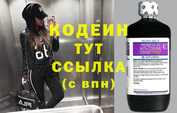 не бодяженный Заводоуковск